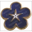 Pin's masónico – Miosota con pentagrama – Esmaltado azul
